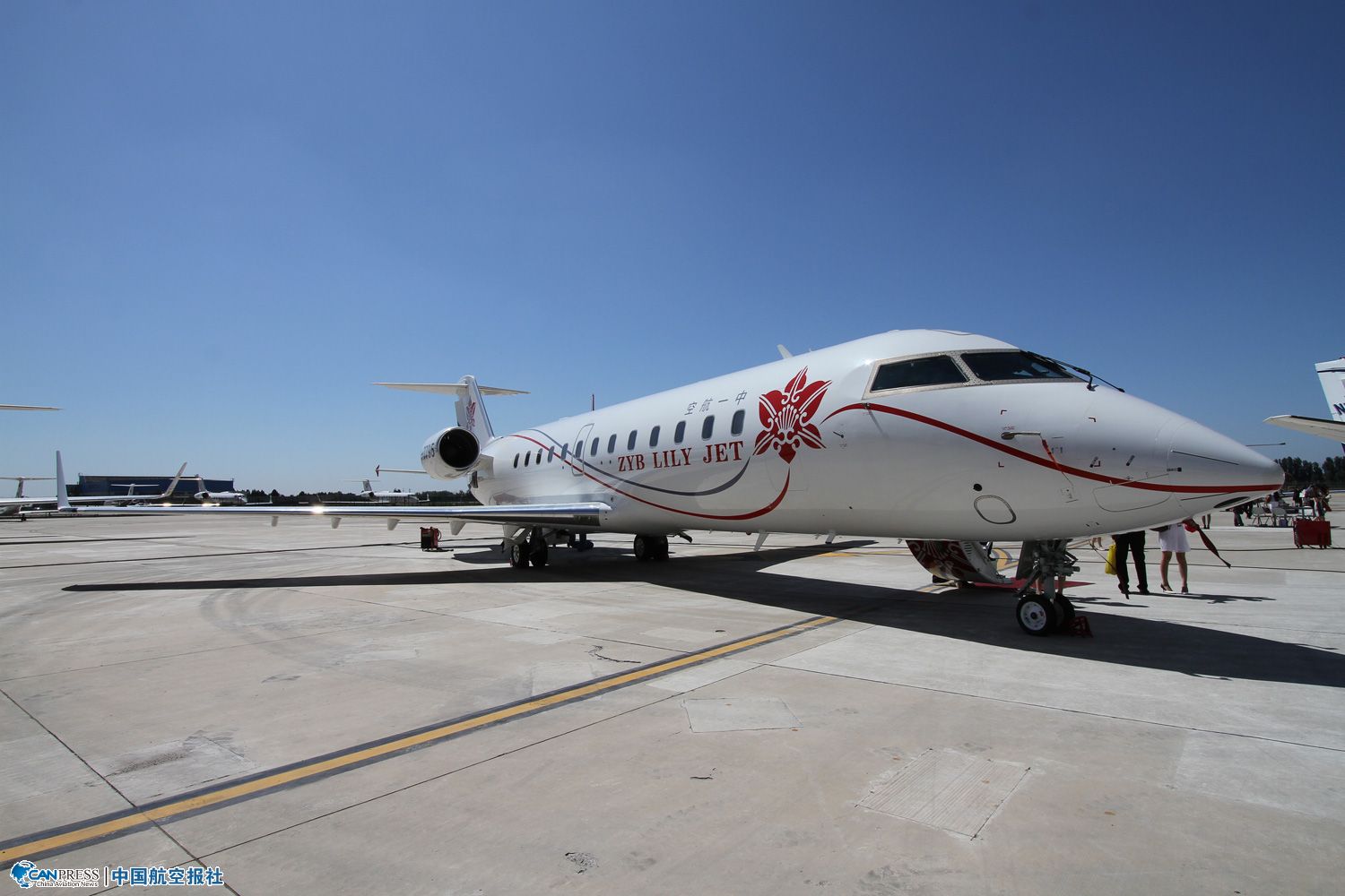 ���͵�������850